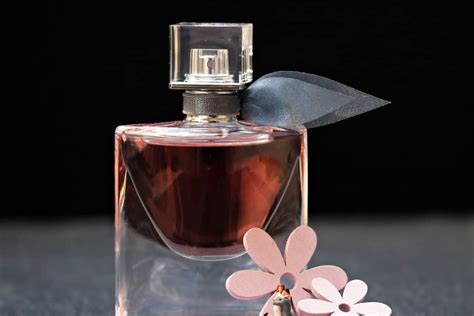 perfumes that smell like|highest rated fragrances.